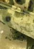 Фото товара Термобелье Camofans термофлис мох (Размер: 3XL)